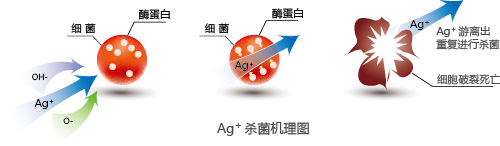 抗菌防黴不鏽鋼(gang)